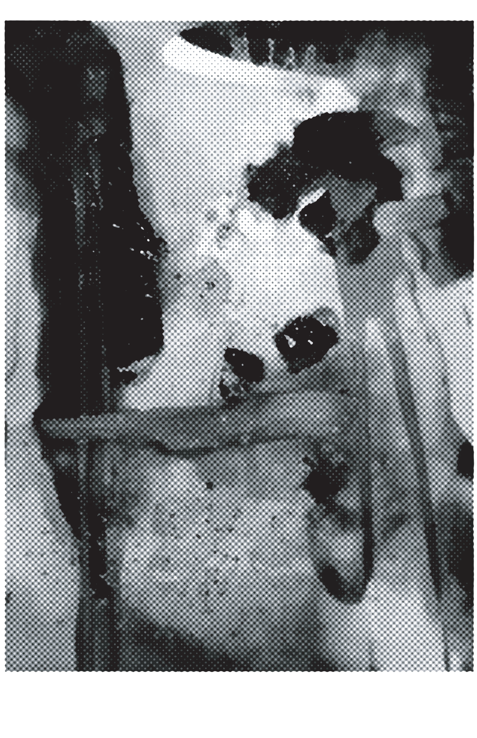 DigitalPaintingOrangeHalfTone-01