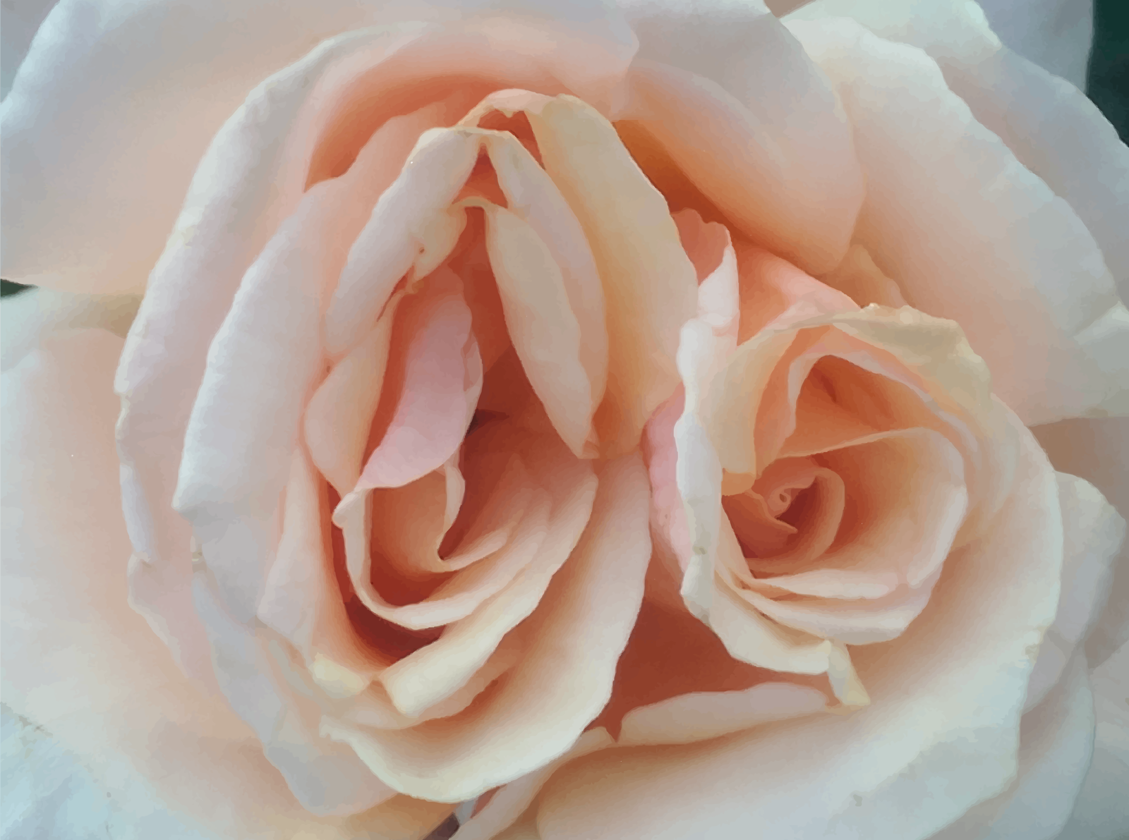 DigitalPaintingRose-01