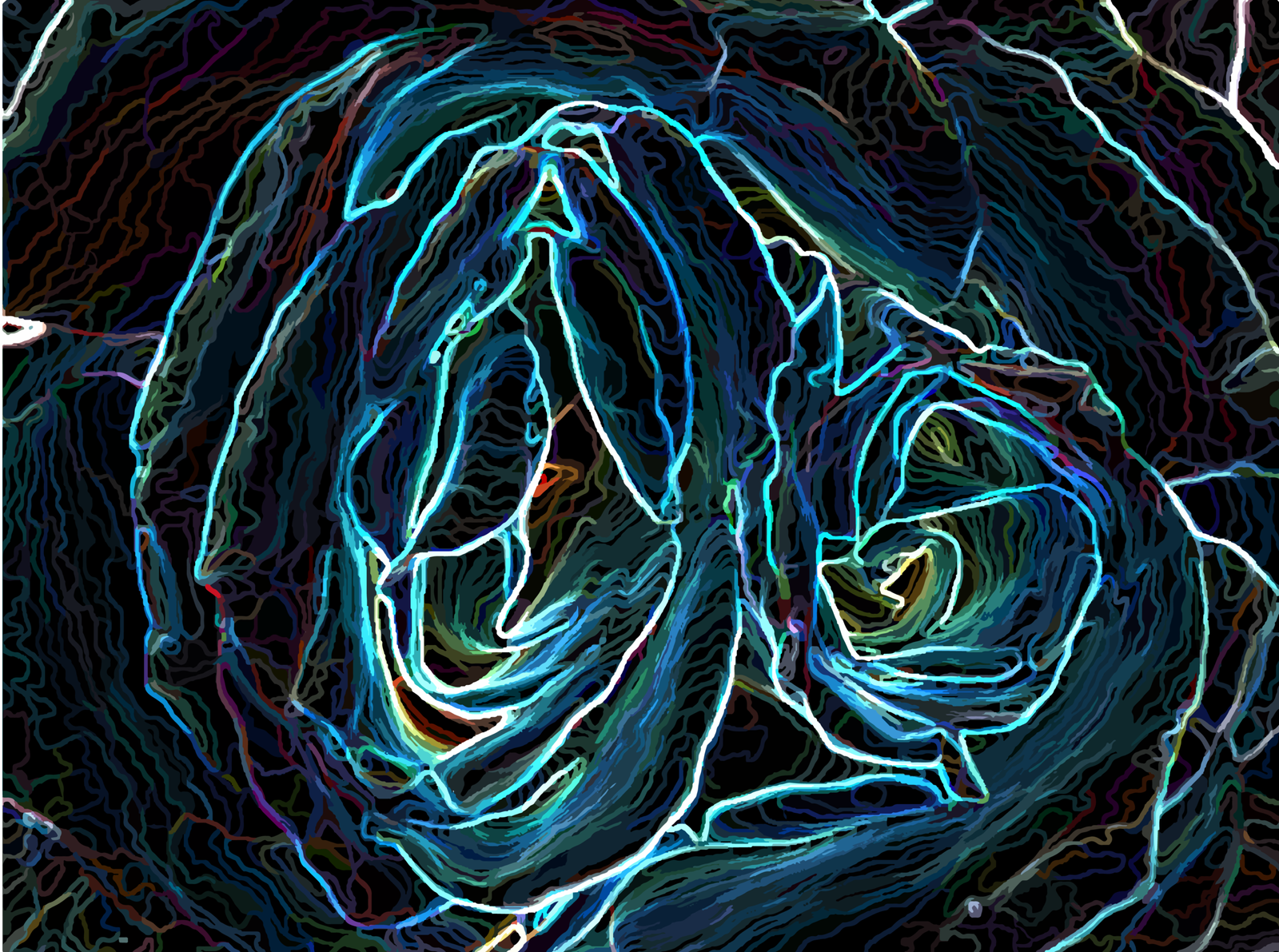 DigitalPaintingRoseGlow-01